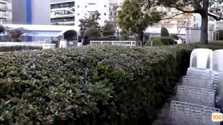 视频99视频这里只有精品